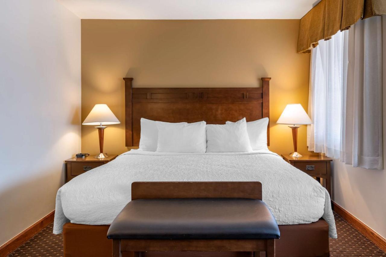 Hotel Western Desert