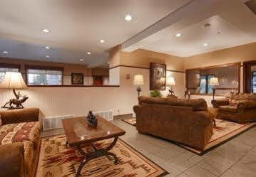 Hotel Western Desert 3*